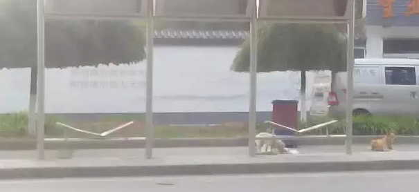公交候车亭座椅被破坏