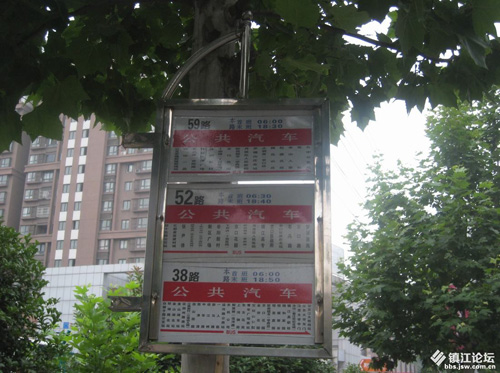 公交候车亭站牌上树了